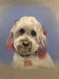 a drawing of a white dog with a pink bow