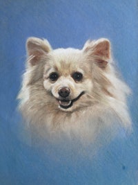 a drawing of a white dog looking up at the sky